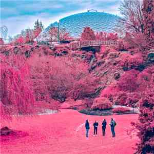 The Zolas - Swooner download flac