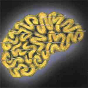 Various - Brain In The Wire - Disc B download flac