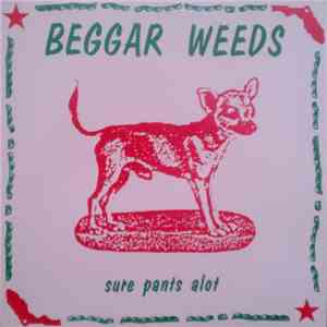 Beggar Weeds - Sure Pants Alot download flac