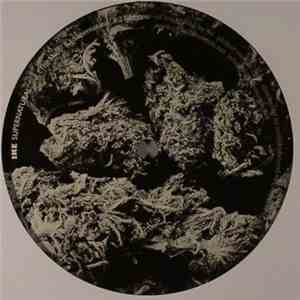 Ike  - Supernatural download flac