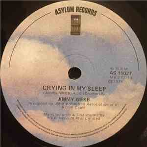 Jimmy Webb - Crying In My Sleep download flac