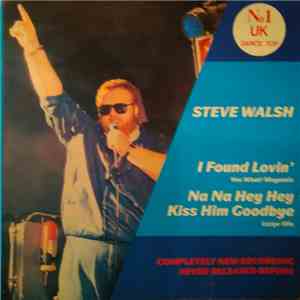 Steve Walsh  - I Found Loving download flac