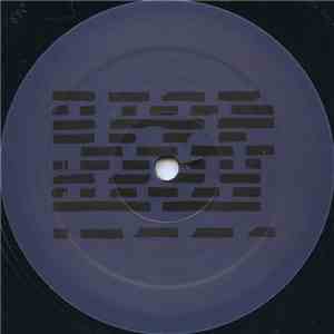 The Analog Roland Orchestra - Patterns 1|2 download flac