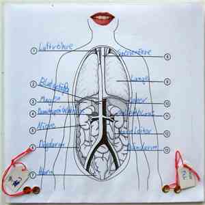 Amor Fati / C. Mehrl Bennett / The New Blockaders & Kommissar Hjuler - An Empty Sunshine Day download flac