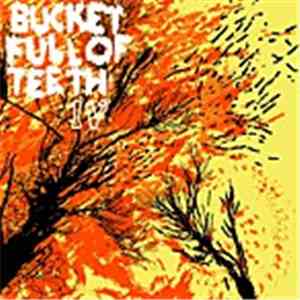 Bucket Full Of Teeth - IV download flac