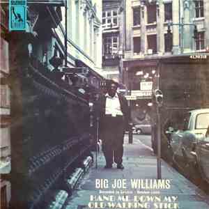 Big Joe Williams - Hand Me Down My Old Walking Stick download flac