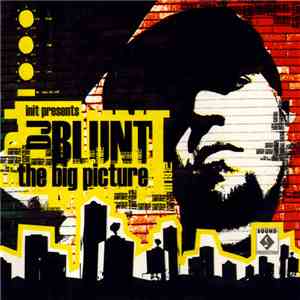 DJ Blunt - The Big Picture download flac