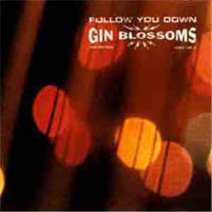 Gin Blossoms - Follow You Down download flac