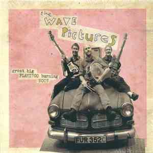 The Wave Pictures - Great Big Flamingo Burning Moon download flac