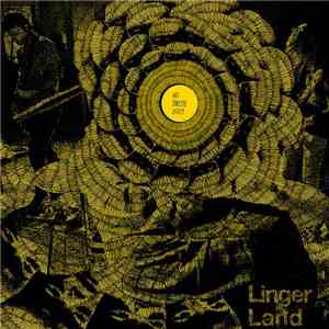 Het Droste Effect - Lingerland download flac
