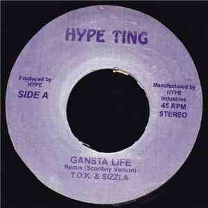 T.O.K. & Sizzla - Gansta Life Remix download flac