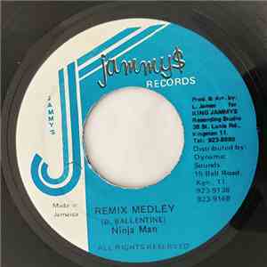 Ninja Man - Remix Medley download flac