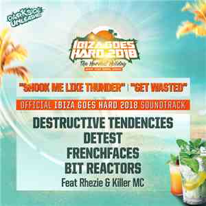 Various - Ibiza Goes Hard 2018 Official Soundtrack download flac