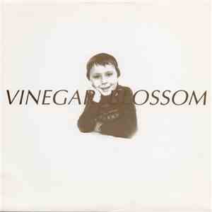 Vinegar Blossom - Absence Of A Choice / Perfection Found In Good Health download flac