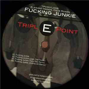 Elegant Hands, Dave Rosen - Fucking Junkie download flac
