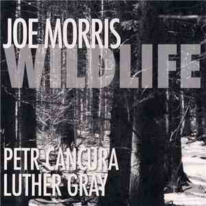 Joe Morris - Wildlife download flac