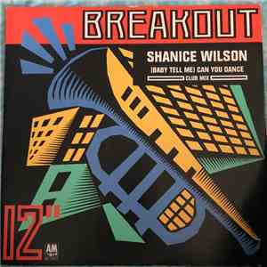 Shanice Wilson - (Baby Tell Me) Can You Dance download flac