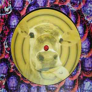 Slapper - The Cowboy Song download flac
