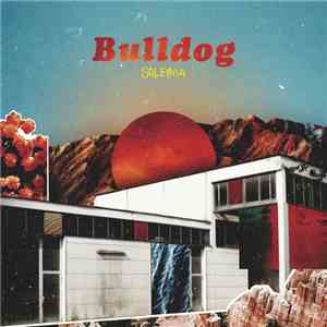 Soleima - Bulldog FLAC album