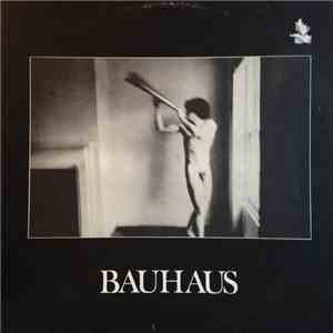 Bauhaus - In The Flat Field download flac