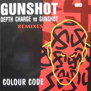 Gunshot - Colour Code Remixes download flac