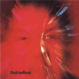 Pale Saints - Flesh Balloon download flac