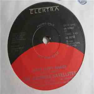 The Georgia Satellites - Hippy Hippy Shake download flac