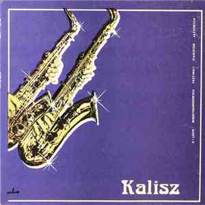 Wojciech Karolak, Włodzimierz Gulgowski, Janusz Skowron, Zbigniew Namysłowski, Harris Simon - Kalisz. X-Lecie Międzynarodowych Festiwali Pianistów Jazzowych download flac
