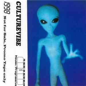 Culturevibe - 1998 #06 SA - House / Progressive download flac