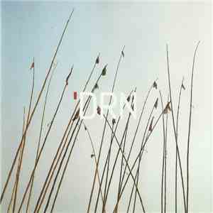 Dark Room Notes - Dead Start Program download flac
