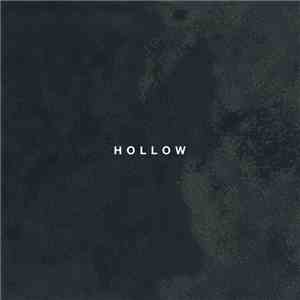 Desperate Journalist - Hollow download flac