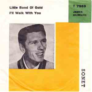 James Gilreath - Little Band Of Gold download flac