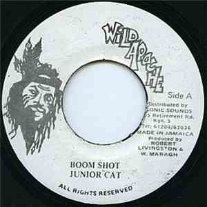 Junior Cat - Boom Shot download flac