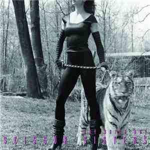 Scissor Sisters - Any Which Way download flac