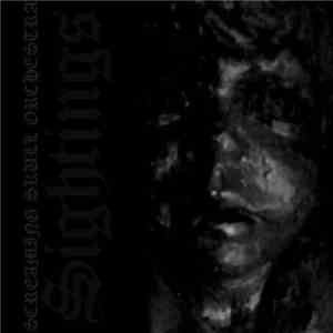 Screaming Skull Orchestra - Sightings download flac