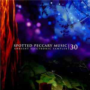 Various - 30 - Free Ambient Electronic Sampler download flac