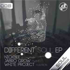 Various - Different Soul EP download flac