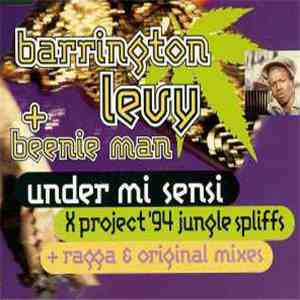 Barrington Levy & Beenie Man - Under Mi Sensi download flac