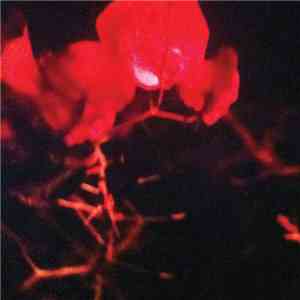 ERAAS - Reworks download flac