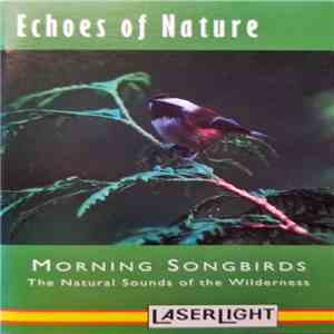 Kim Wilson  - Morning Songbirds (The Natural Sound Of The Wilderness) download flac