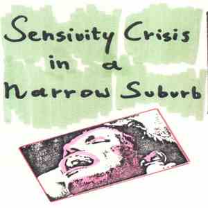 Nico de Haan - Sensivity Crisis In A Narrow Suburb download flac