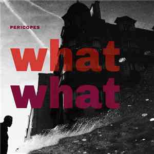 Pericopes, Alessandro Sgobbio, Emiliano Vernizzi - What What download flac