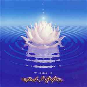 Sean Washburn - Wave Mantra download flac