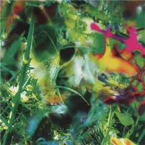 The Young Gods - Second Nature download flac