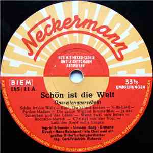 Various - Schön Ist Die Welt download flac