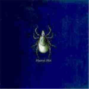 Aidan Coughlan - Mystery's Mist FLAC album
