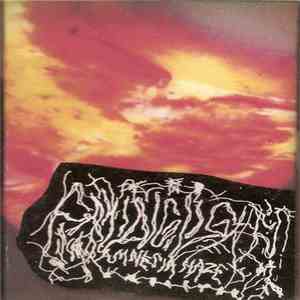 Failing Lights - Amnesia Haze download flac