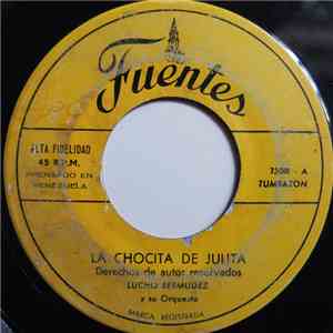 Lucho Bermudez Y Su Orquesta - La Chocita de Julita / Embustero download flac