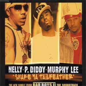 Nelly, P. Diddy & Murphy Lee - Shake Ya Tailfeather download flac