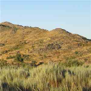 Preadventure - Shame download flac